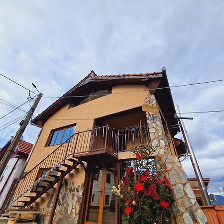 Pensiunea Salas Salasu de Sus Exterior photo